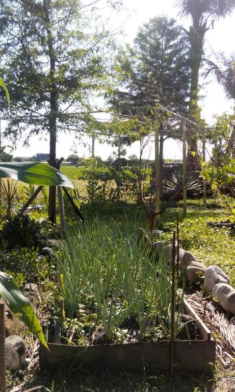 Hasayaki Homestay Sanxing Exteriér fotografie