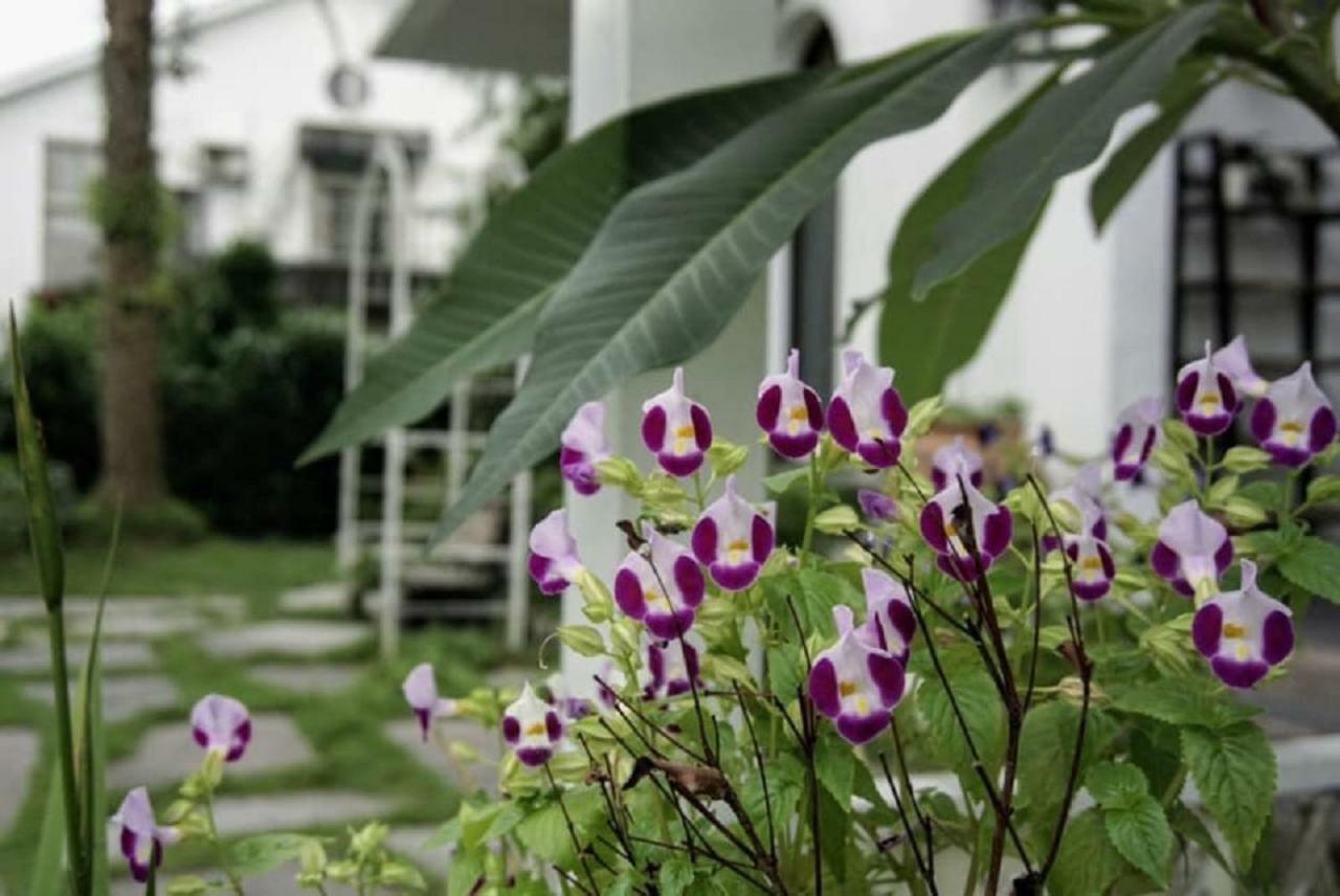 Hasayaki Homestay Sanxing Exteriér fotografie